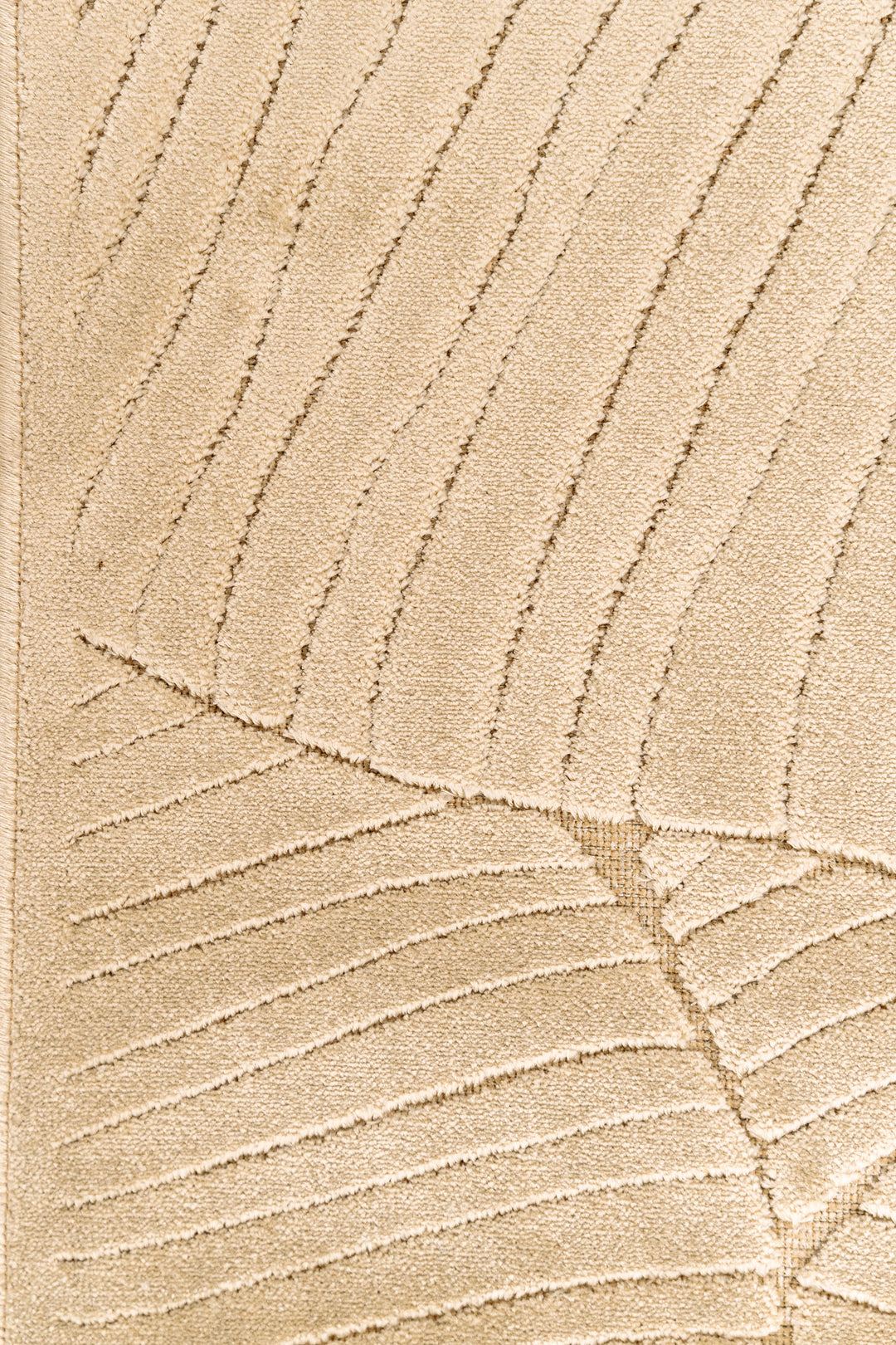 120 Ancho X 170 Alto ( Us 3.93" X 5.57" )