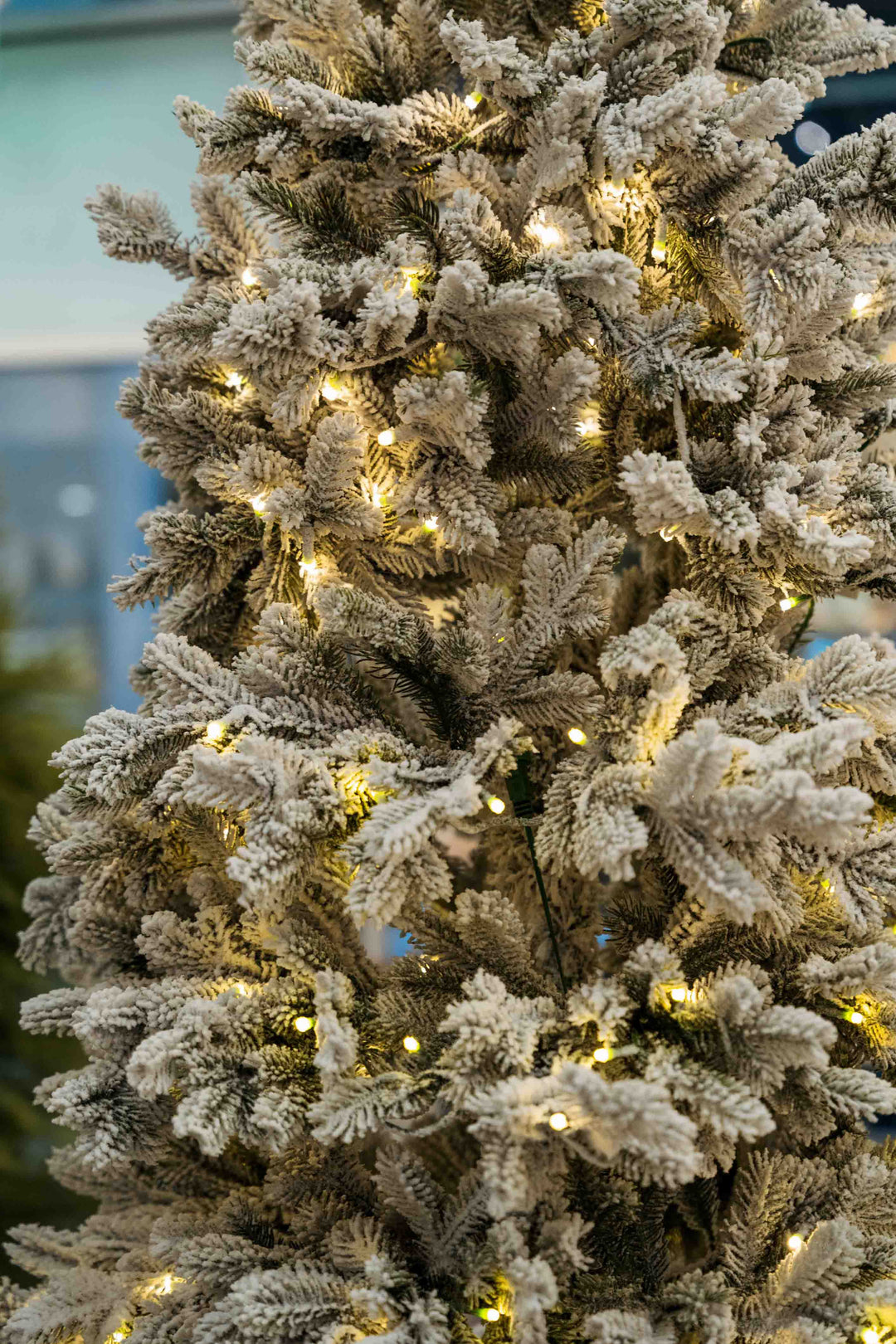 Arboles, Coronas y Guirnaldas