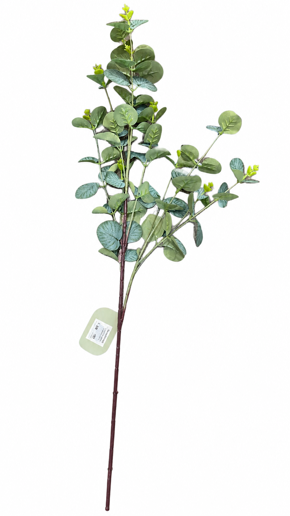 Eucalypto Verde 11 Ramas 100Cm