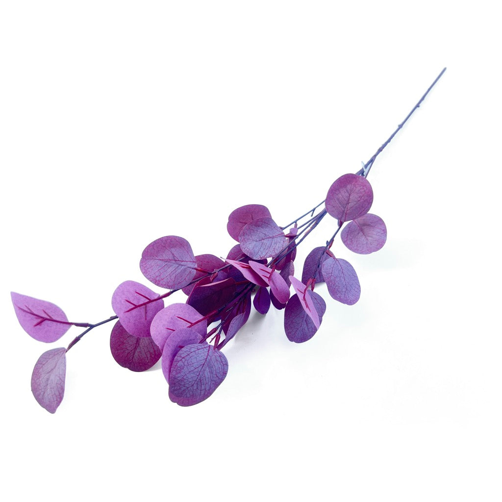 Planta Verda Hoja De Manzana 30'S Morada 90 Cm