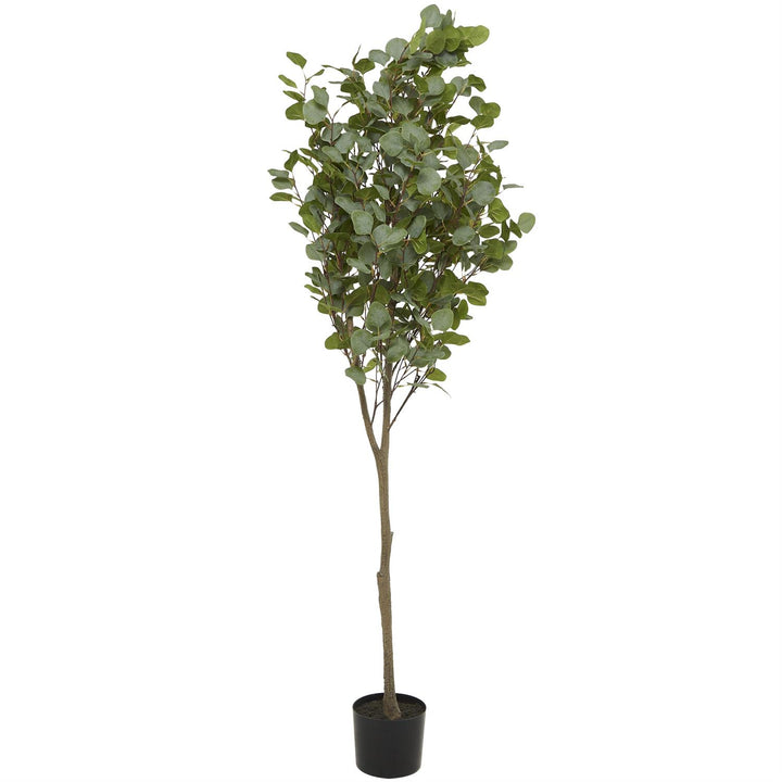 Arbol Artificial Decorativo Eucalipto 114Cm Ancho X 178Cm Alto X 0Cm Profundidad