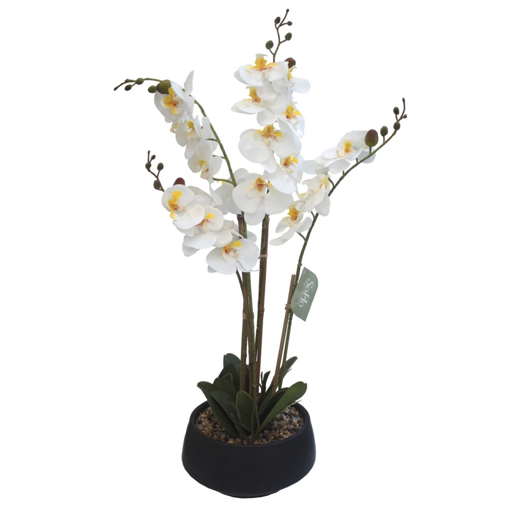 Arreglo Floral Orquideas 4 Tallos 25 Flores Blanca