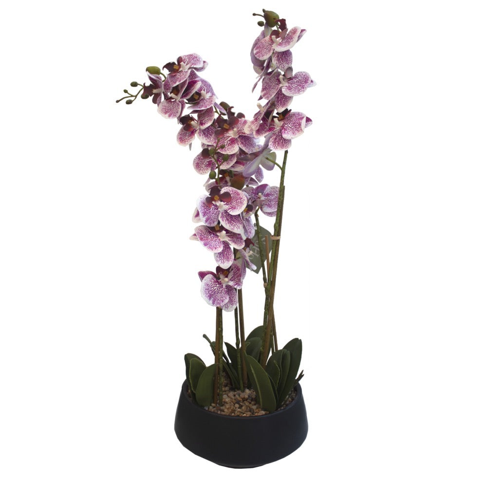 Arreglo Floral Orquideas 4 Tallos 25 Flores Lila