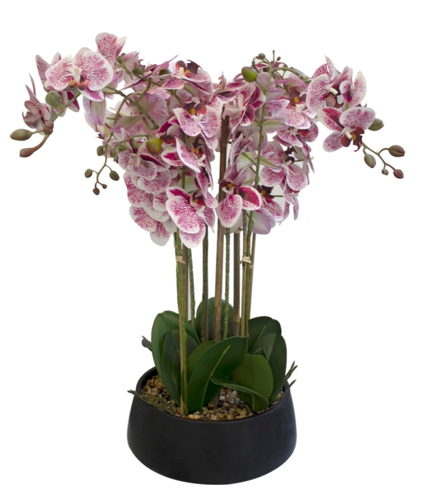 Arreglo Floral Orquideas 8 Tallos 60 Flores Lila