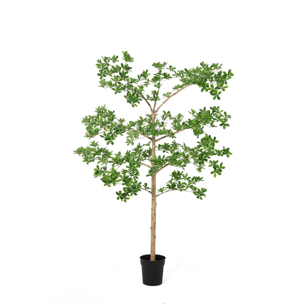 Planta Artificial En Pote 165Cm
