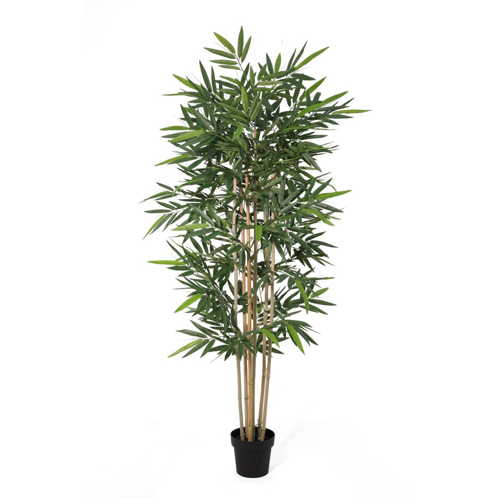 Planta Artificial Bamboo 200 Cm