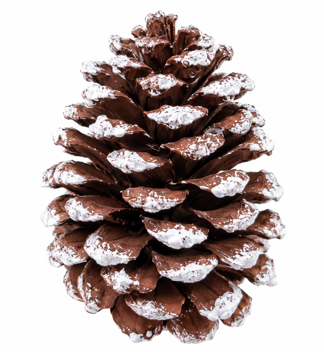 Piñas De Pino Navideñas 6Pzs Nevado