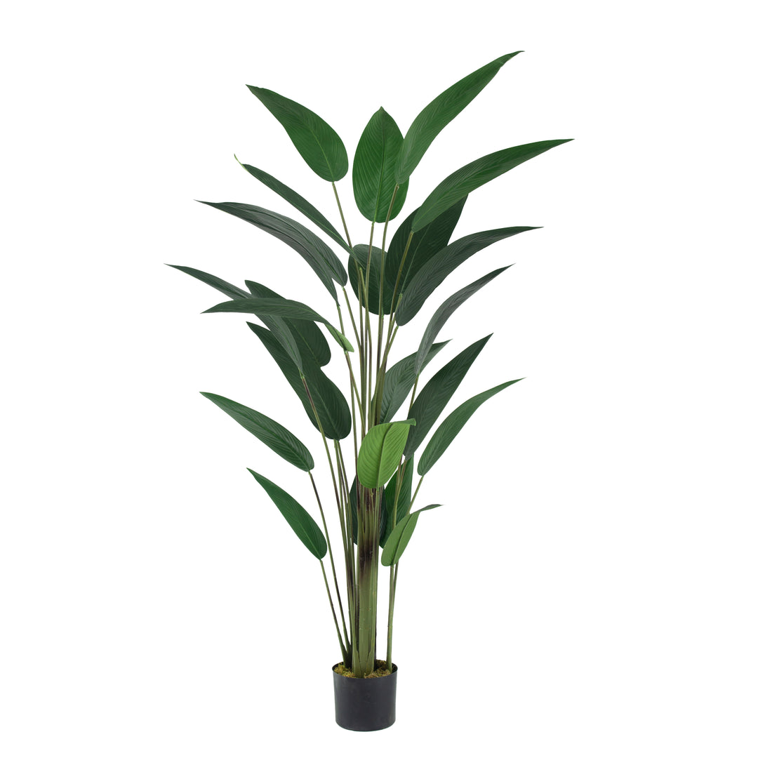 Planta Artificial De Plastico